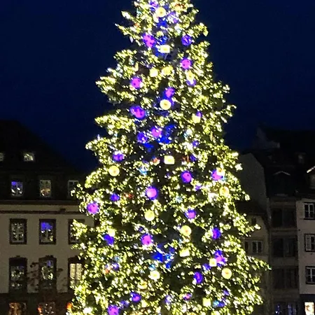 Apartament Le Repos Alsacien Schiltigheim