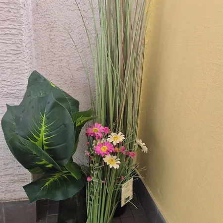 Le Repos Alsacien Apartament *